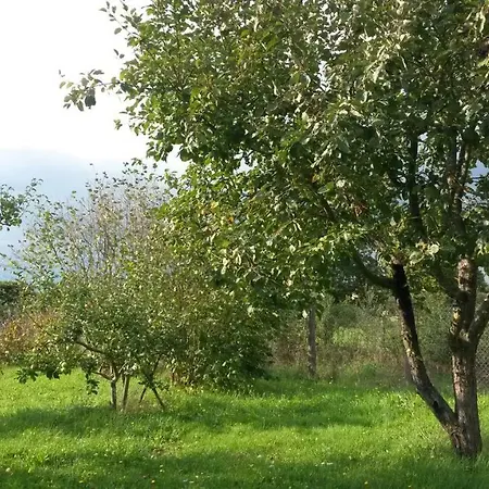 Route De Voivres アパート