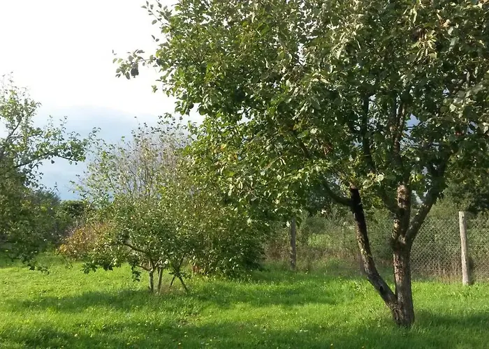 Route De Voivres Apartamento